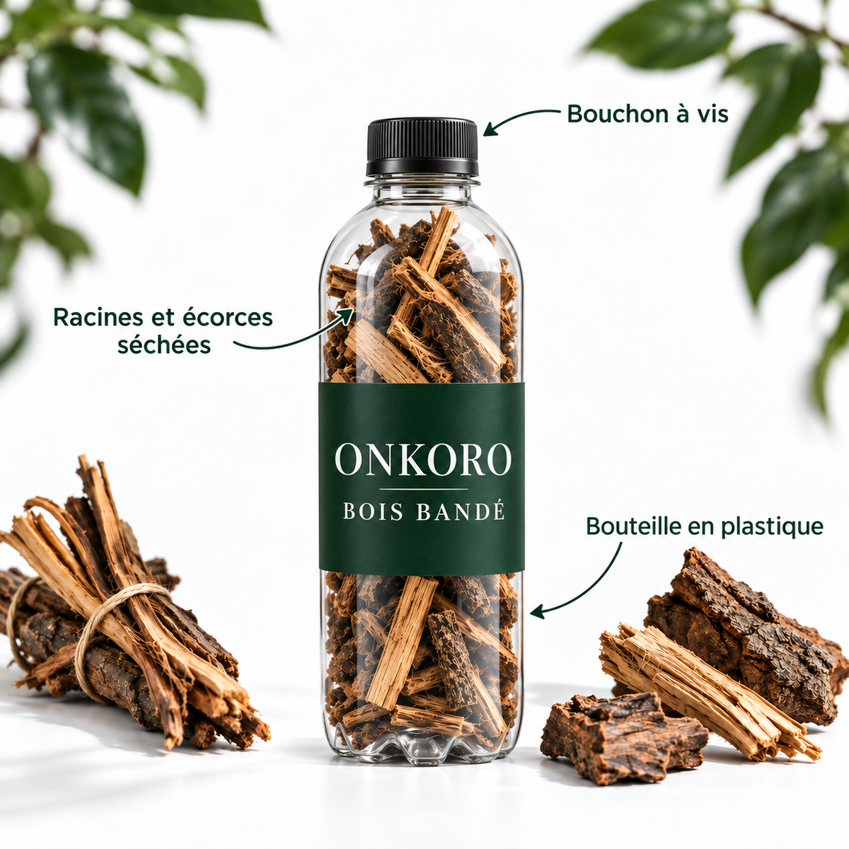 Onkoro Boi Bander